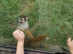 -石家庄市动物园