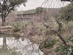 -无锡梅园公园