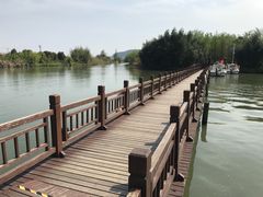 -白塔湖国家湿地公园