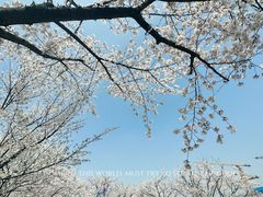 -龙美术馆(西岸馆)