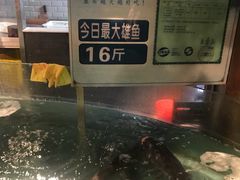 -坛宗剁椒鱼头(河西王府井店)