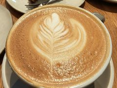 -Wagas沃歌斯(汇智店)