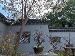 -无锡梅园公园