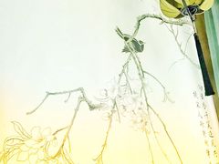 -Lotus 莲花空间(国贸商城店)