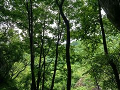 -秦岭终南山世界地质公园翠华山景区