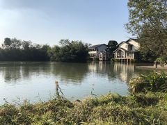 -新荣记(西溪湿地店)