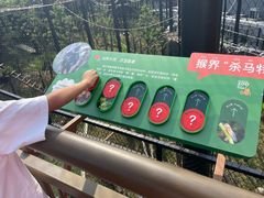 -武汉动物园