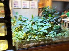 -山食间·中式营养轻餐(保利时光里店)