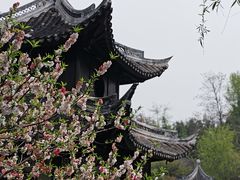 -水绘园