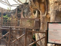 -杭州开元森泊度假乐园