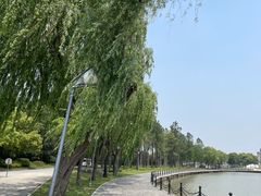 -上海月湖雕塑公园