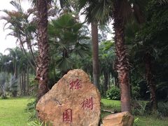 -金山植物公园