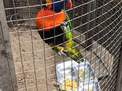 -大连森林动物园