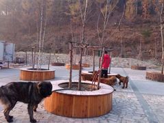 -龙福成肥牛火锅(文昌店)