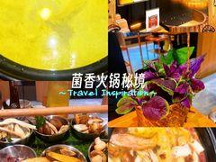 -一朵菌·野生菌探索家火锅(南亚店)