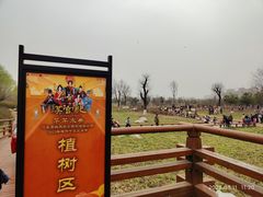 -汉长安城未央宫国家考古遗址公园