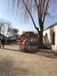 -优沃得自然教育农场·冰雪乐园·生日会·研学