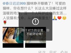 盛京一禾-盛京一禾