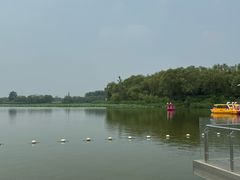 -大兴滨河森林公园