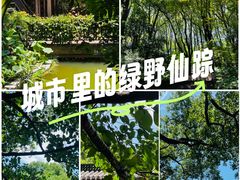 -杭州半山国家森林公园