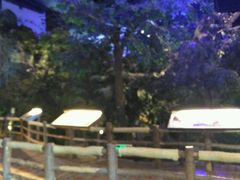 -广东省博物馆