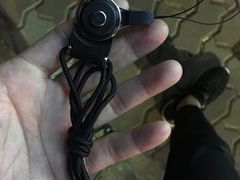 -蚝专家