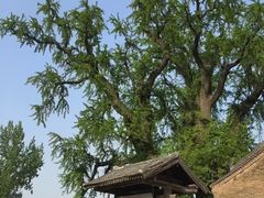 -洨河生态公园