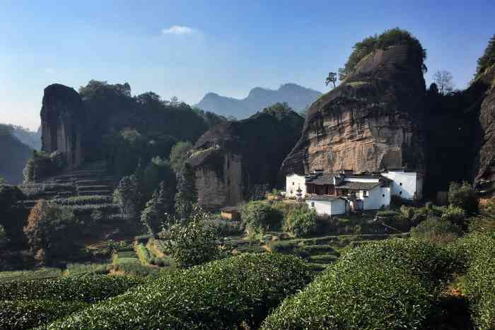 马头岩-"去武夷山看朋友,第二天爬山.从兰汤有一条."-大众点评移动版