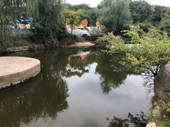 -白马涧龙池景区