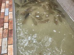 -渔遭殃鱼馆(黄桷垭店)