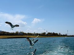 -青海湖国家重点风景名胜区