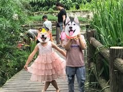 -成都市活水公园