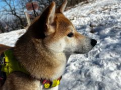 -萌兽医馆·犬猫专科·眼科中心·宠物医院(朝阳门分院)