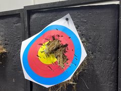 -無弓射箭俱乐部(领展中心城店)