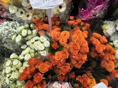 -循礼门鲜花花市(武汉循礼门店)