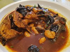 红烧鮰鱼-清华酒楼(盘门店)