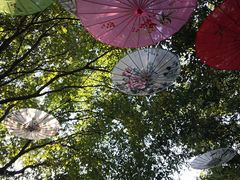 -西安汉城湖景区