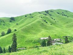 -新疆那拉提国家旅游度假区