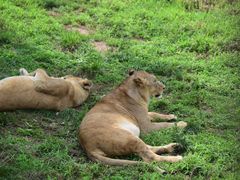 -西安秦岭野生动物园