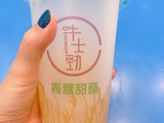 -德禄酸奶(莫家街店)