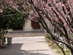 -大连北马山庄