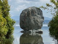 -洱海月湿地公园