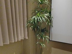 -若水云栖·足疗·按摩·SPA(城阳万达广场店)