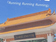 -深圳市中科院仙湖植物园