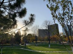 -西海子公园