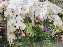 -FEI FEI FLOWER鲜花店·气球派对·宝宝宴布置(虹口德必运动Loft店)