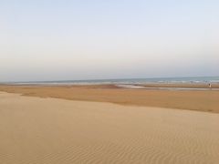 -日照海滨国家森林公园