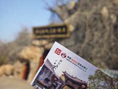 -大槐树寻根祭祖园