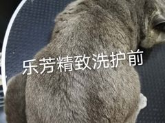 -汪小喵宠物·戴维斯乐芳希施宠馨宝皮毛调理洗护店