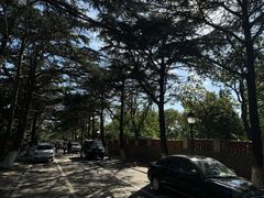 -八大关景区